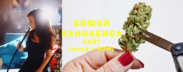 сатива Вязники