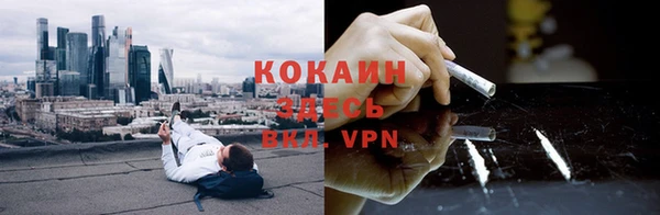 стафф Вяземский
