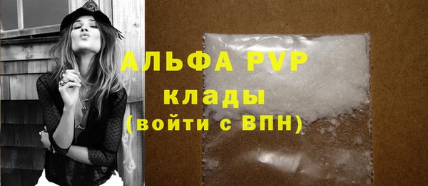 стафф Вяземский
