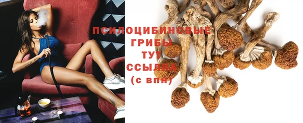 стафф Вяземский