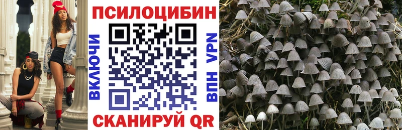 Галлюциногенные грибы мухоморы  мориарти телеграм  Коломна  дарнет шоп 
