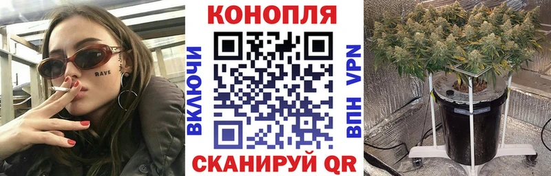 Конопля Bruce Banner  OMG tor  Коломна 
